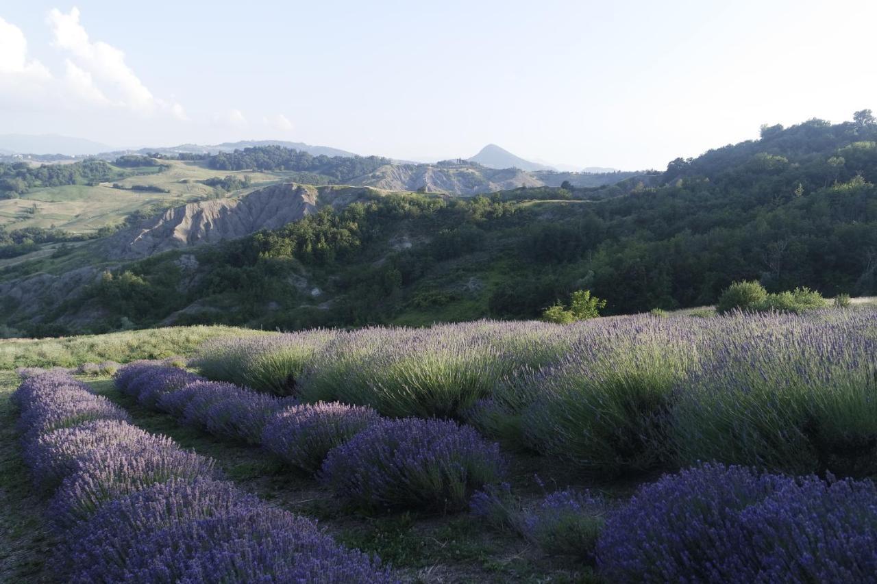 Casale Monte Valestra Bed & Breakfast Bebbio Luaran gambar