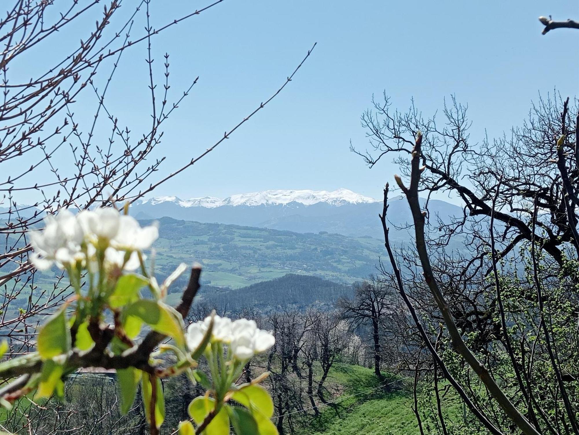 Casale Monte Valestra Bed & Breakfast Bebbio Luaran gambar